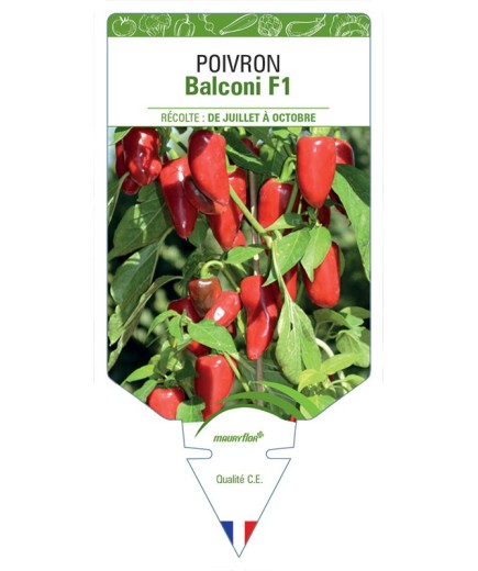 POIVRON BALCONI F1