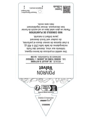 POIVRON VELVET JAUNE