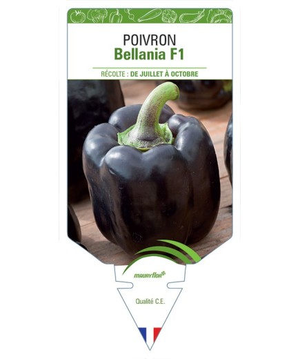 POIVRON BELLANIA F1