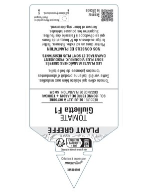 TOMATE GIULIETTA F1 PLANT GREFFÉ