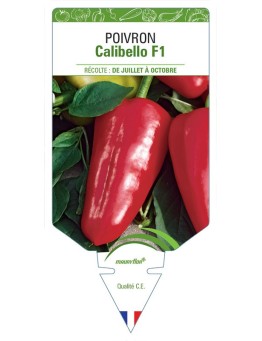 POIVRON CALIBELLO F1