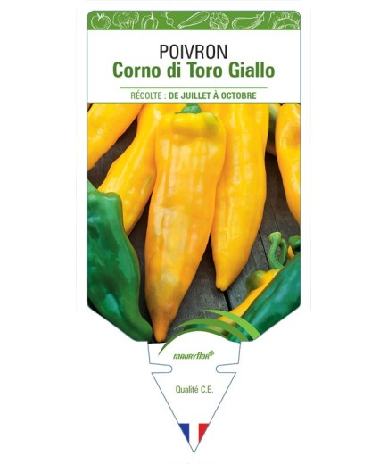POIVRON CORNO DI TORO GIALLO