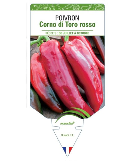 POIVRON CORNO DI TORO ROSSO