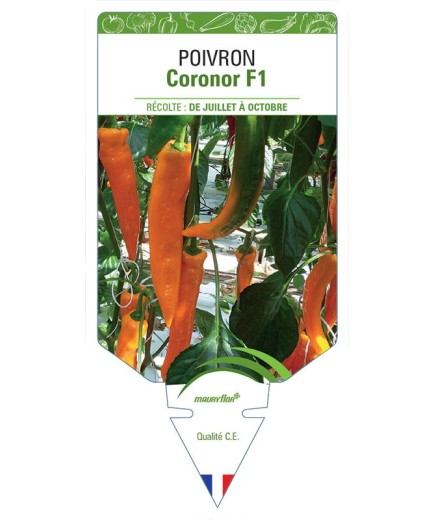 POIVRON CORONOR F1