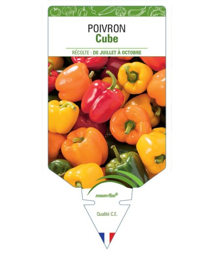 POIVRON CUBE