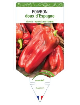 POIVRON DOUX D'ESPAGNE