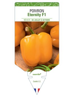POIVRON ETERNITY F1