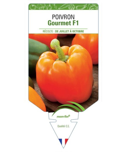 POIVRON GOURMET F1