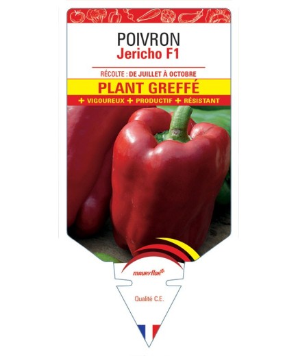 POIVRON JERICHO F1 PLANT GREFFÉ
