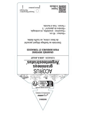 ACORUS gramineus Argenteostriatus