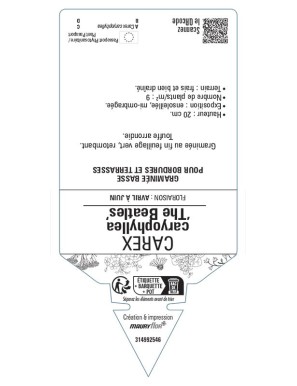 CAREX caryophyllea The Beatles