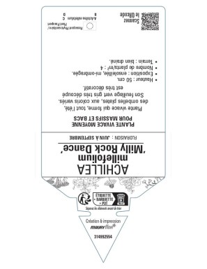 ACHILLEA (millefolium) Milly Rock Dance