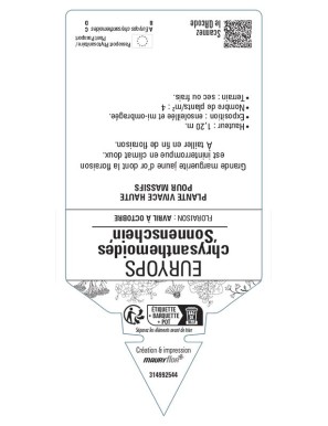 EURYOPS Sonnenschein