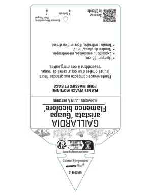 GAILLARDE Guapa Flamenco bicolore