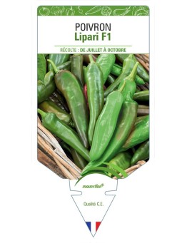 POIVRON LIPARI F1