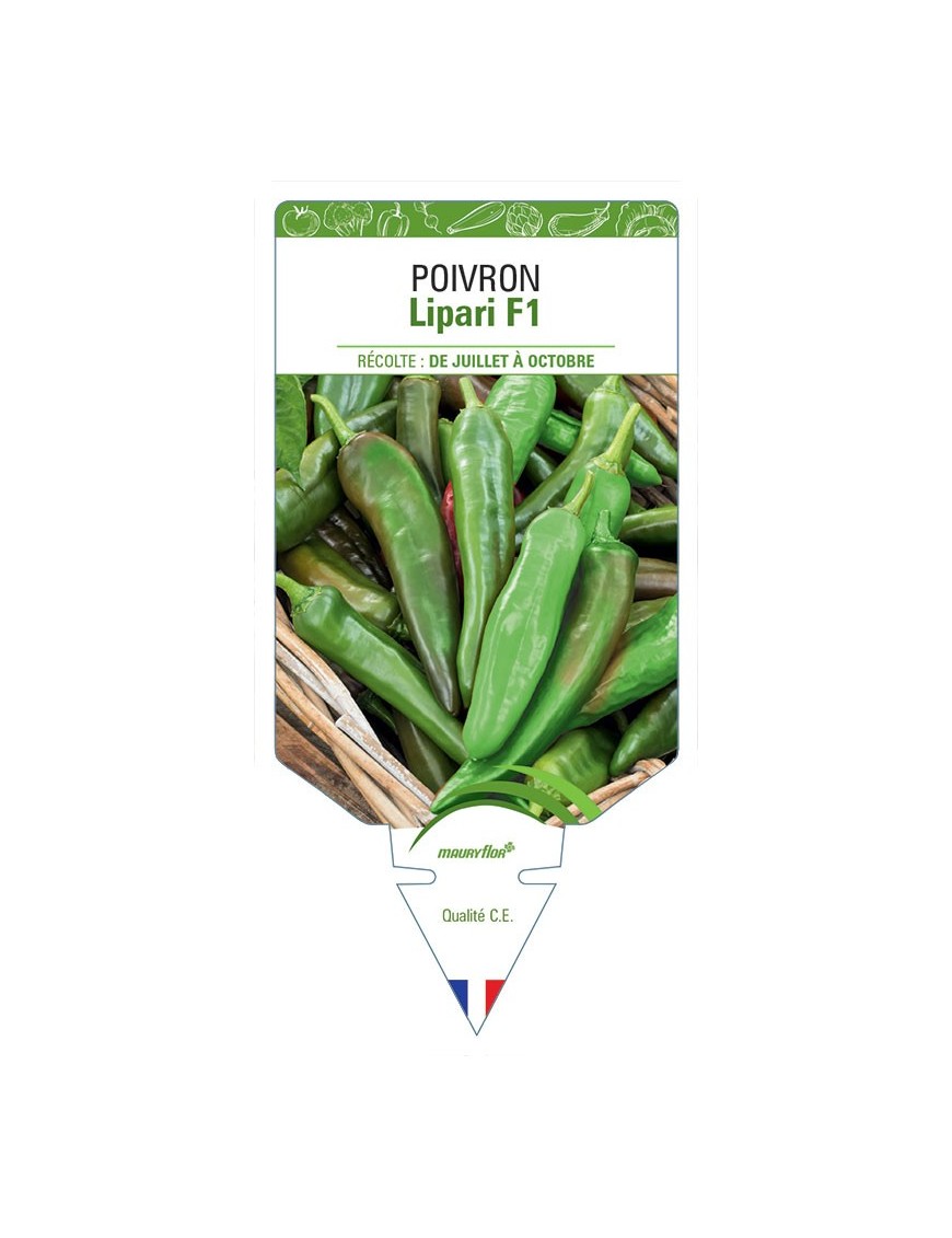 POIVRON LIPARI F1