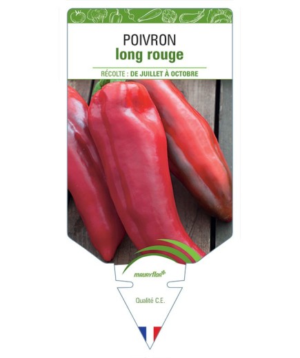POIVRON LONG ROUGE