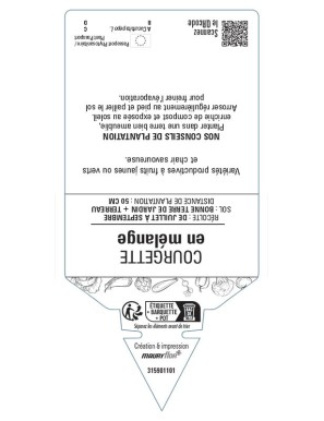 COURGETTE EN MÉLANGE