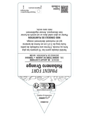 PIMENT FORT HABANERO ORANGE