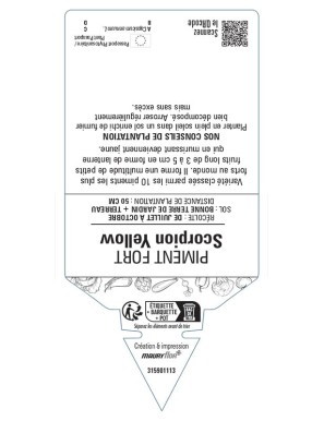 PIMENT FORT SCORPION YELLOW