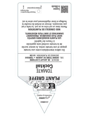 TOMATE COCKTAIL F1 PLANT GREFFÉ