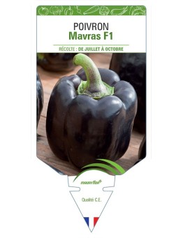 POIVRON MAVRAS F1