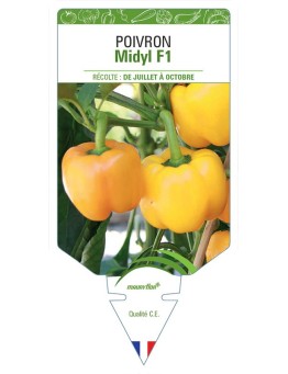 POIVRON MIDYL F1