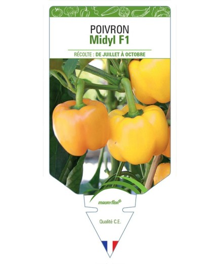 POIVRON MIDYL F1