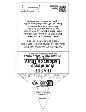 FRAISIER Vicomtesse Héricart de Thury