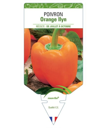 POIVRON ORANGE LLYN