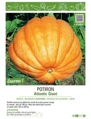 POTIRON ATLANTIC GIANT