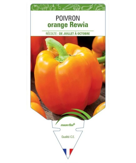 POIVRON ORANGE REWIA