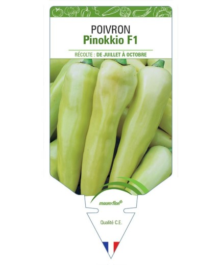 POIVRON PINOKKIO F1