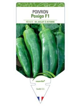 POIVRON POXIGO F1