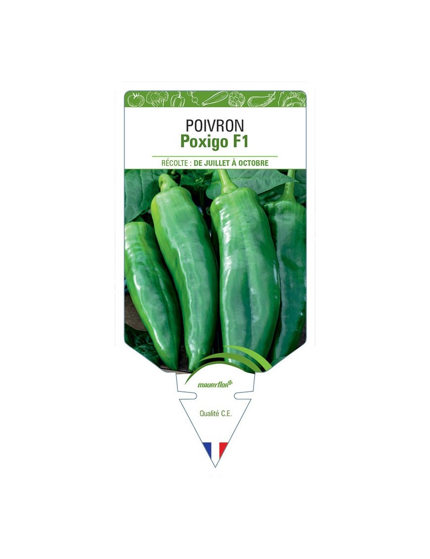 POIVRON POXIGO F1