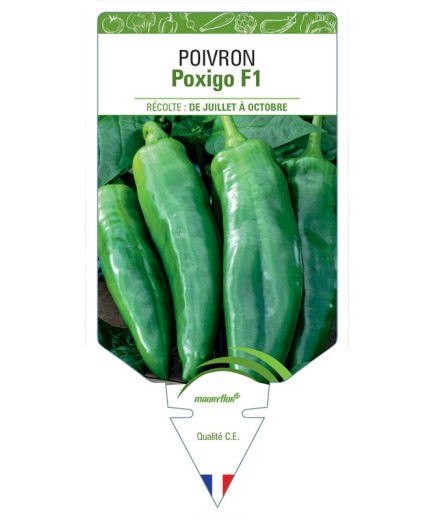 POIVRON POXIGO F1