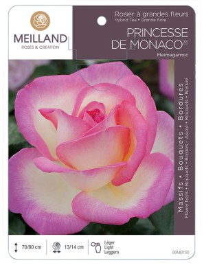 PRINCESSE DE MONACO ® Meimagarmic Rosier à grandes fleurs