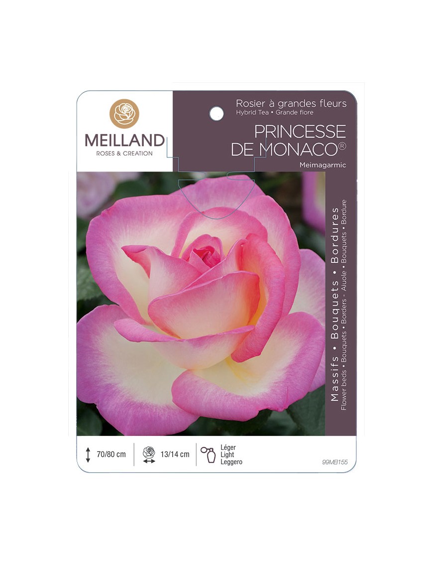 PRINCESSE DE MONACO ® Meimagarmic Rosier à grandes fleurs