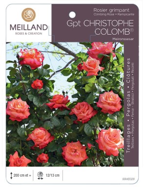 CHRISTOPHE COLOMB ® Meironssesar Rosier grimpant