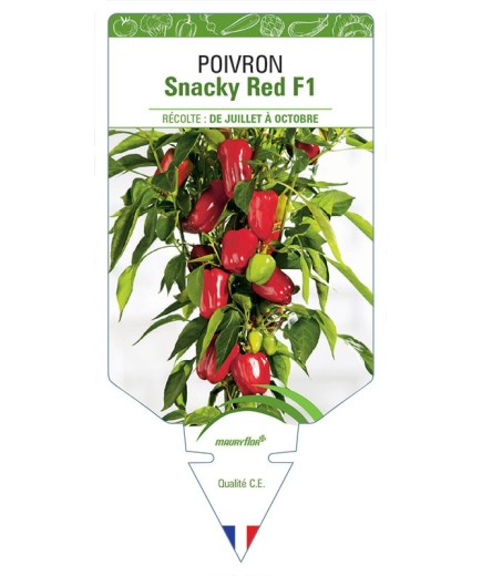 POIVRON SNACKY RED F1