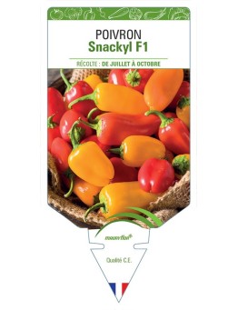 POIVRON SNACKYL F1