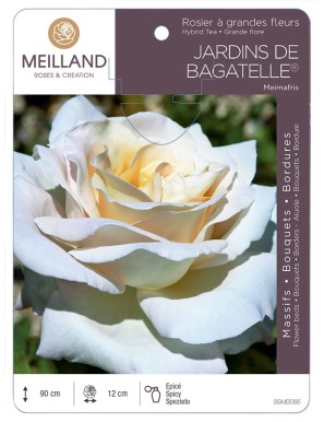 JARDINS DE BAGATELLE ® Meimafris Rosier à grandes fleurs