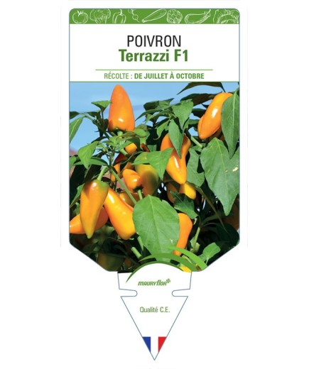 POIVRON TERRAZZI F1