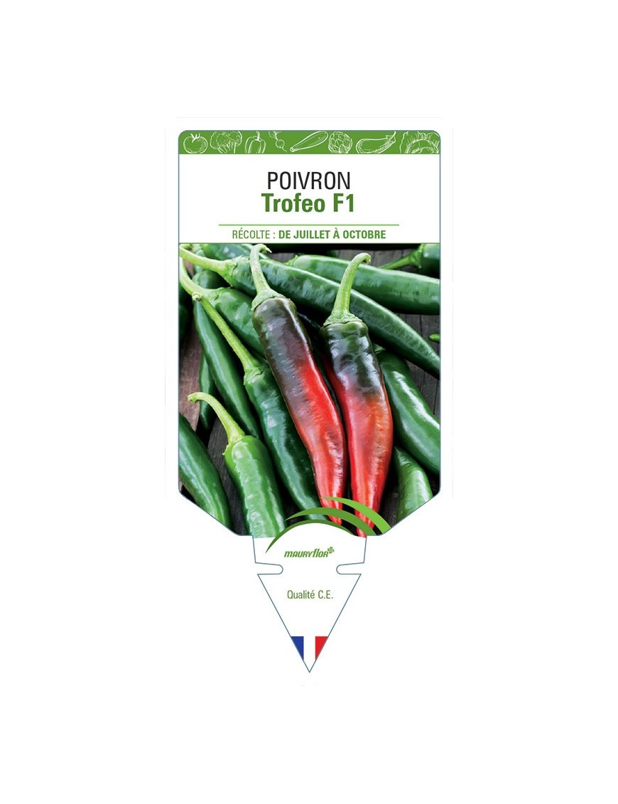 POIVRON TROFEO F1