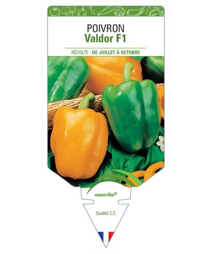 POIVRON VALDOR F1