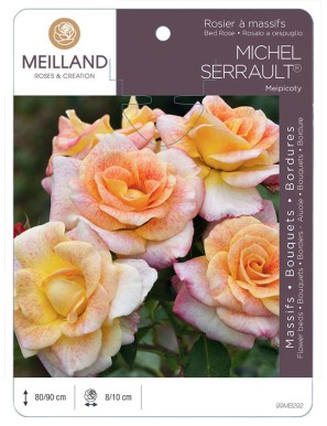 MICHEL SERRAULT ® Meipicoty Rosier à massifs