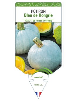 POTIRON BLEU DE HONGRIE