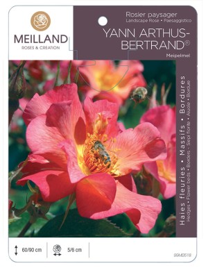 YANN ARTHUS-BERTRAND ® Meipelmel Rosier paysager