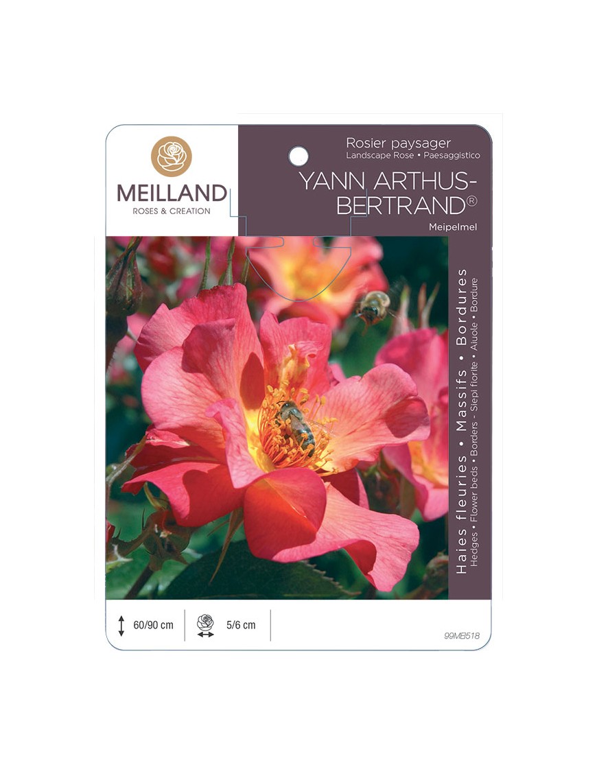 YANN ARTHUS-BERTRAND ® Meipelmel Rosier paysager