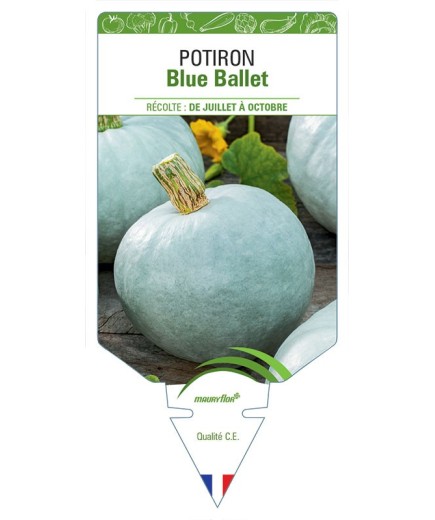 POTIRON BLUE BALLET